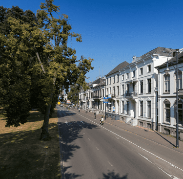 Straatbeeld van Arnhem met historische gebouwen en bomen.